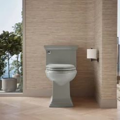 One-piece compact elongated toilet with skirted trapway, 1.28 gpf^Kohler Best