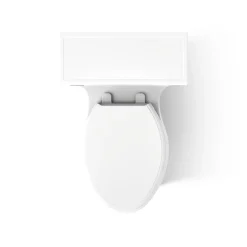 One-piece compact elongated toilet with skirted trapway, 1.28 gpf^Kohler Best