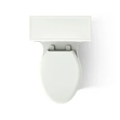 One-piece compact elongated toilet with skirted trapway, 1.28 gpf^Kohler Best