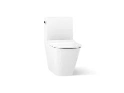 One-piece compact elongated toilet with skirted trapway, dual-flush^Kohler Outlet