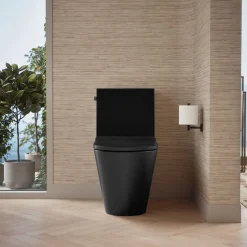 One-piece compact elongated toilet with skirted trapway, dual-flush^Kohler Outlet