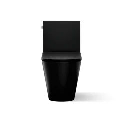 One-piece compact elongated toilet with skirted trapway, dual-flush^Kohler Outlet