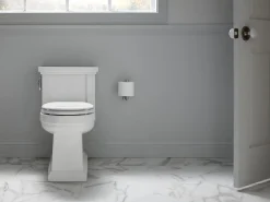 One-piece compact elongated toilet with skirted trapway, 1.28 gpf^Kohler Sale