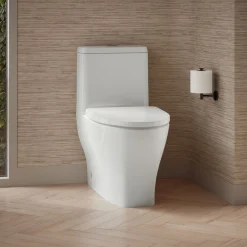 One-piece compact elongated toilet with skirted trapway, dual-flush^Kohler Clearance