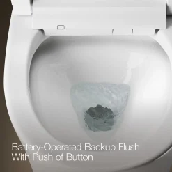 One-piece elongated smart toilet, dual-flush^Kohler Best