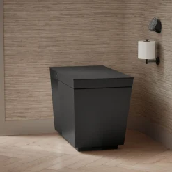 One-piece elongated smart toilet, dual-flush^Kohler Best