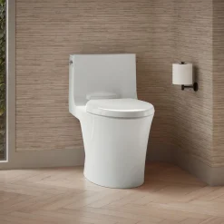 One-piece elongated toilet with skirted trapway, dual-flush^Kohler Hot