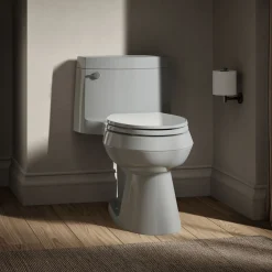 One-piece elongated toilet with concealed trapway, 1.28 gpf^Kohler Outlet