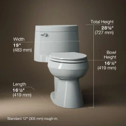 One-piece elongated toilet with concealed trapway, 1.28 gpf^Kohler Outlet