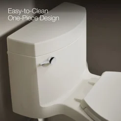 One-piece elongated toilet with concealed trapway, 1.28 gpf^Kohler Outlet