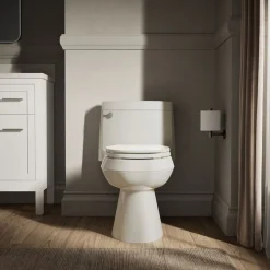 One-piece elongated toilet with concealed trapway, 1.28 gpf^Kohler Outlet