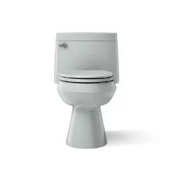 One-piece elongated toilet with concealed trapway, 1.28 gpf^Kohler Outlet