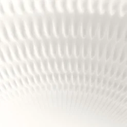 19-1/2