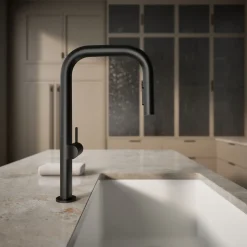 Pull-down kitchen sink faucet with two-function sprayhead^Kohler Discount