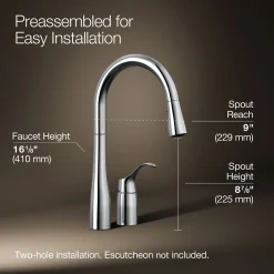 Pull-down kitchen sink faucet with three-function sprayhead^Kohler New