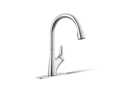 Pull-down kitchen sink faucet with two-function sprayhead^Kohler New