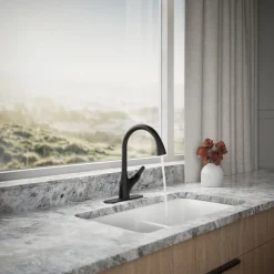 Pull-down kitchen sink faucet with two-function sprayhead^Kohler New