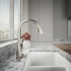 Pull-down kitchen sink faucet with two-function sprayhead^Kohler New