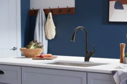 Pull-down kitchen sink faucet with two-function sprayhead^Kohler New