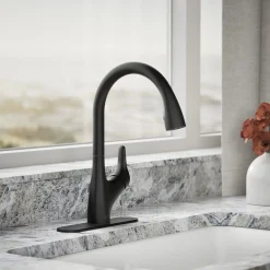 Pull-down kitchen sink faucet with two-function sprayhead^Kohler New