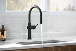 Pull-down kitchen sink faucet with three-function sprayhead^Kohler Discount