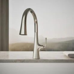 Pull-down kitchen sink faucet with three-function sprayhead^Kohler Discount