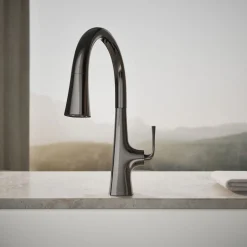 Pull-down kitchen sink faucet with three-function sprayhead^Kohler Discount