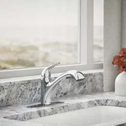 Pull-out kitchen sink faucet with two-function sprayhead^Kohler Online