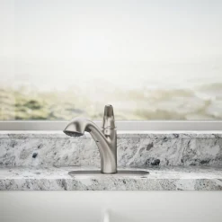 Pull-out kitchen sink faucet with two-function sprayhead^Kohler Online