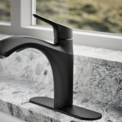 Pull-out kitchen sink faucet with two-function sprayhead^Kohler Hot