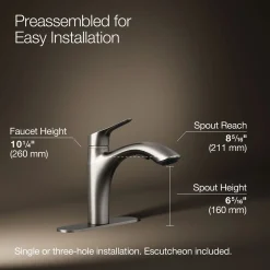 Pull-out kitchen sink faucet with two-function sprayhead^Kohler Hot