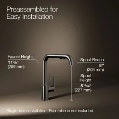 Pull-out kitchen sink faucet with three-function sprayhead^Kohler Discount