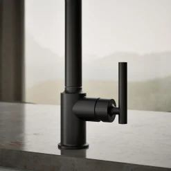 Pull-out kitchen sink faucet with three-function sprayhead^Kohler Discount