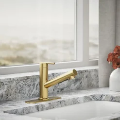Pull-out kitchen sink faucet with three-function sprayhead^Kohler Sale