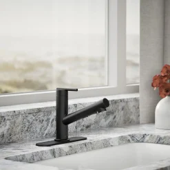 Pull-out kitchen sink faucet with three-function sprayhead^Kohler Sale