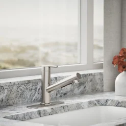 Pull-out kitchen sink faucet with three-function sprayhead^Kohler Sale