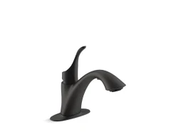Pull-out laundry and utility sink faucet with two-function sprayhead^Kohler Hot