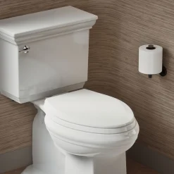 Quick-Release™ elongated toilet seat with antimicrobial agent^Kohler New