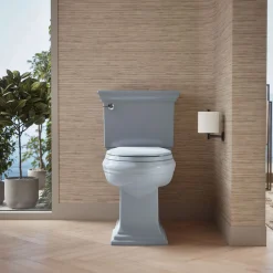 Quick-Release™ elongated toilet seat^Kohler Hot