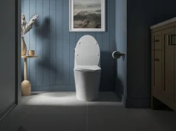 Quiet-Close™ elongated toilet seat^Kohler