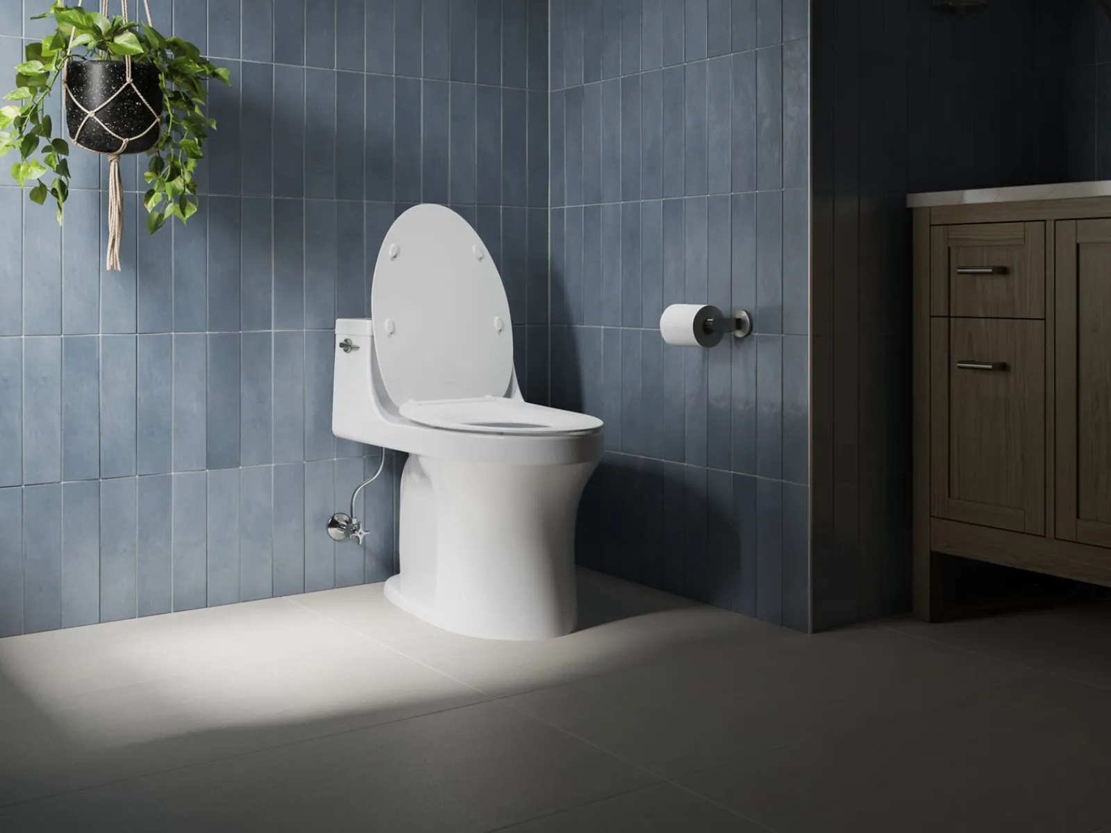 Quiet-Close™ elongated toilet seat^Kohler Discount