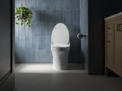 Quiet-Close™ elongated toilet seat^Kohler Discount