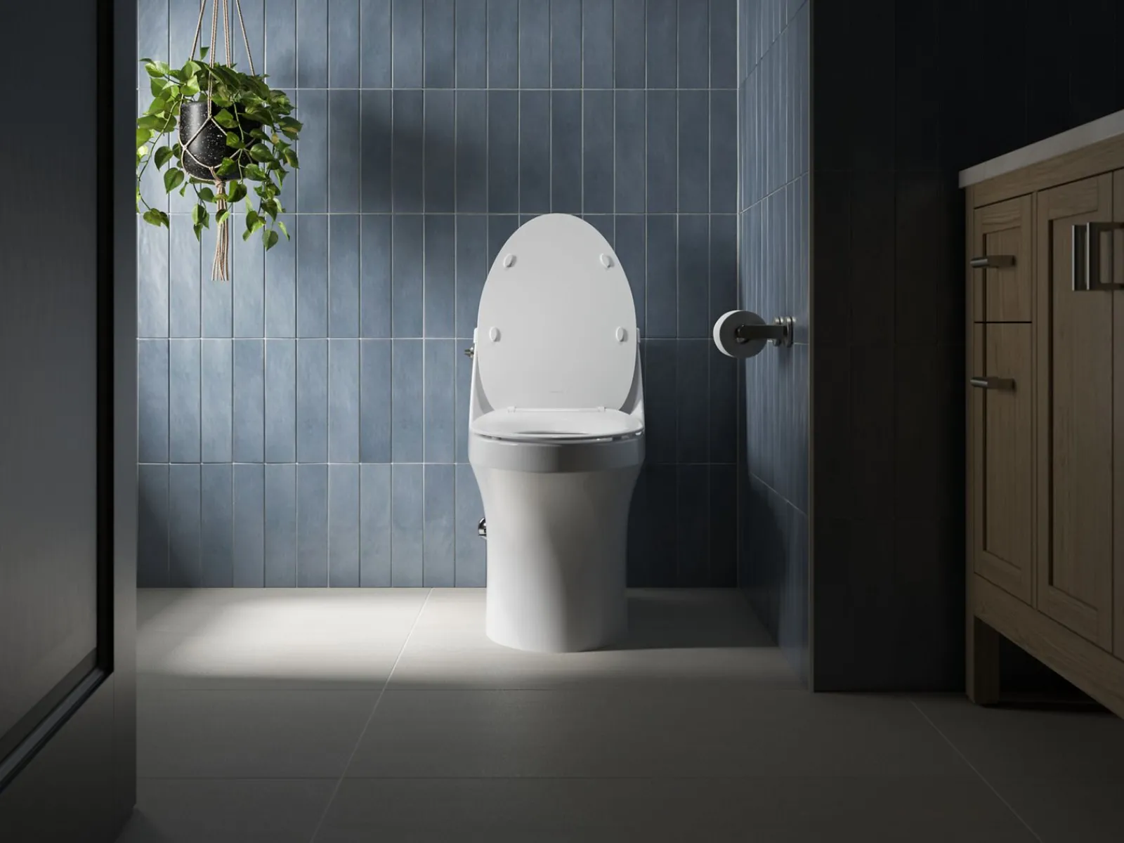Quiet-Close™ elongated toilet seat^Kohler Discount