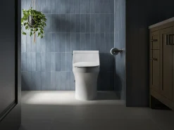 Quiet-Close™ elongated toilet seat^Kohler Discount