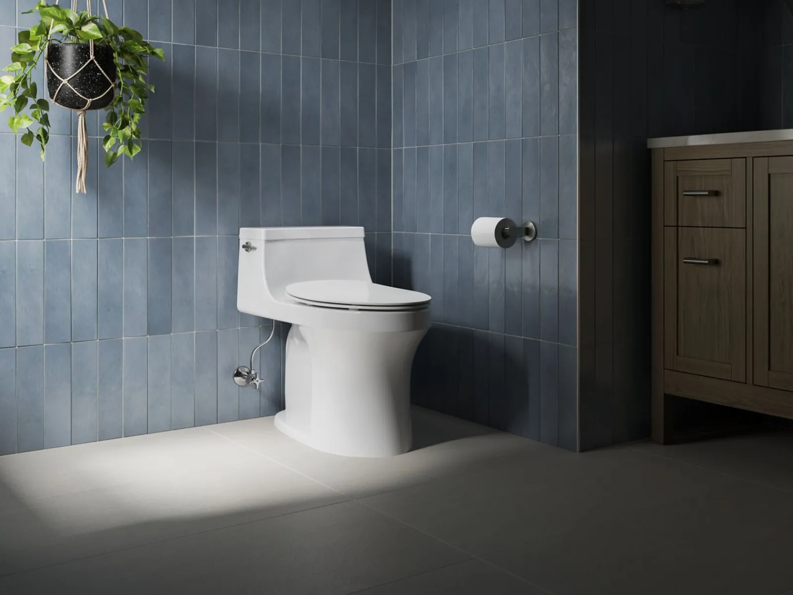 Quiet-Close™ elongated toilet seat^Kohler Discount