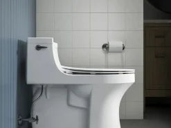 Quiet-Close™ elongated toilet seat^Kohler