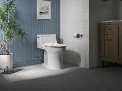 Quiet-Close™ elongated toilet seat^Kohler