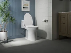 Quiet-Close™ elongated toilet seat^Kohler