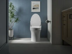 Quiet-Close™ elongated toilet seat^Kohler
