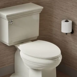 ReadyLatch® Quiet-Close™ elongated toilet seat^Kohler Best